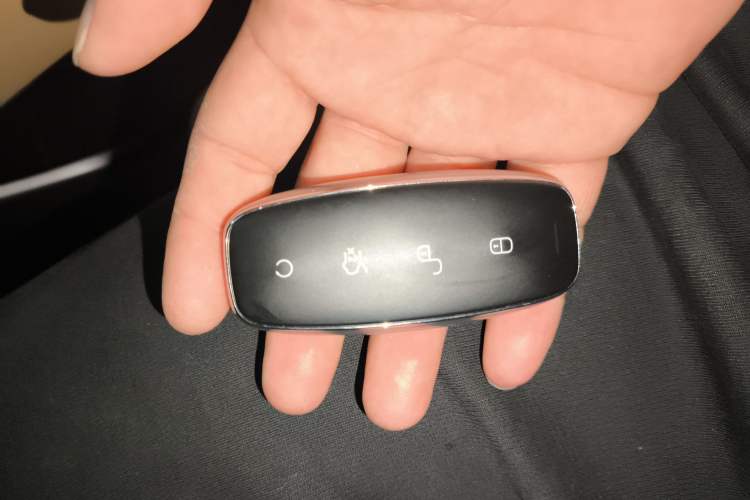 Used Denza D9 2024 DM-i 980 Four-Wheel Drive Prestige Model
