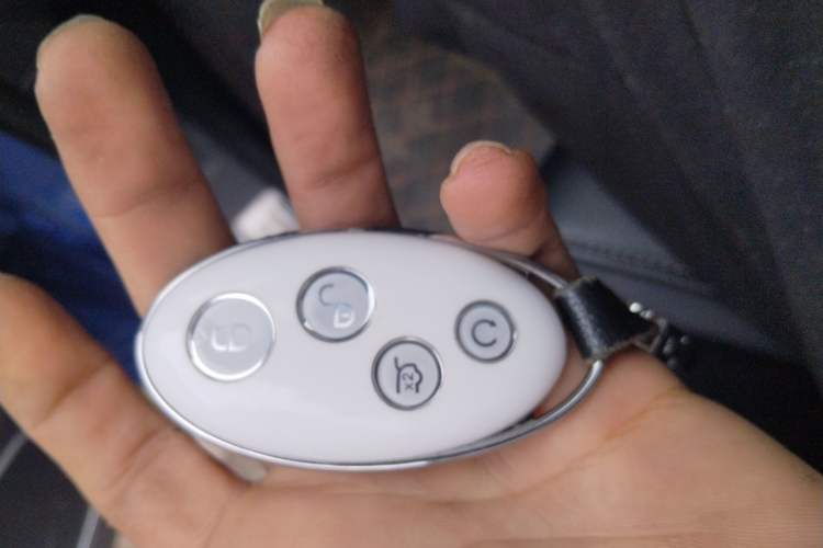 Used BYD Song MAX 2017 1.5T Automatic Smart Connect Prestige 7-Seater