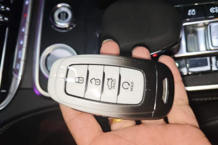 Used Hongqi H9 2020 2.0T Smart Connect Flagship Edition