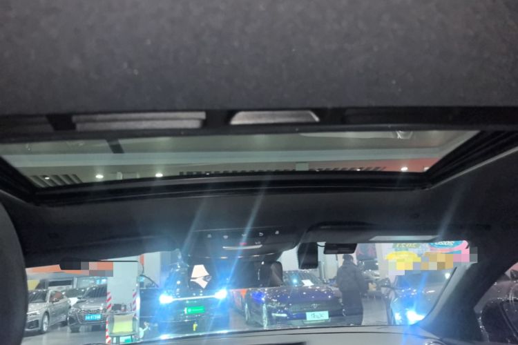 Used Mercedes-Benz AMG GT 2019 AMG GT 50 four-door sports car Headliner