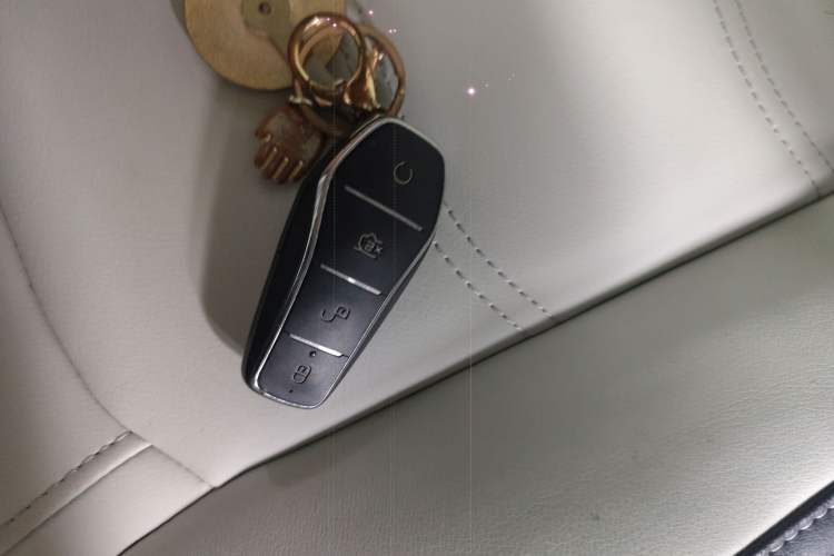 Used BYD Yuan Pro 2021 "Love for a Lifetime" Edition