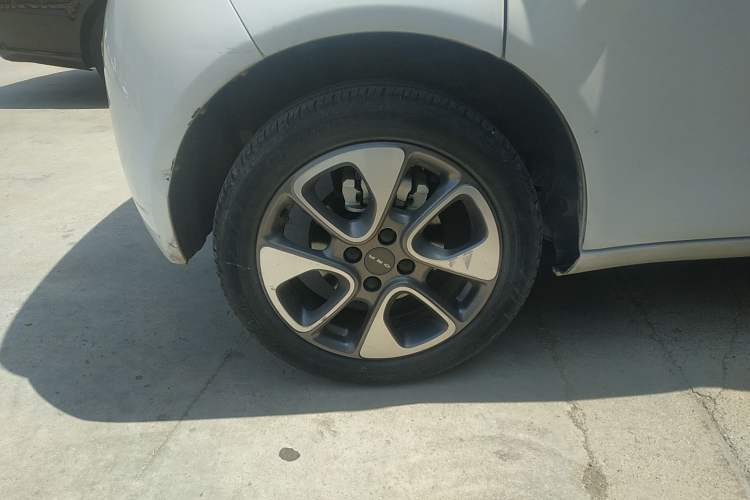 Used ORA White Cat 2020 305 km Luxury Version