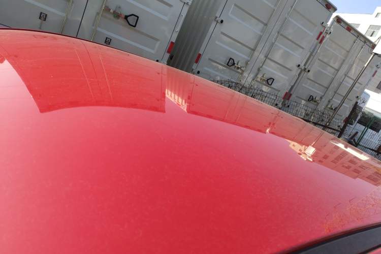 Used ORA Black Cat 2019 301km Standard Edition
