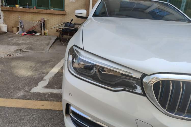 Used BMW 5 Series New Energy 2019 530Le Luxury Package
