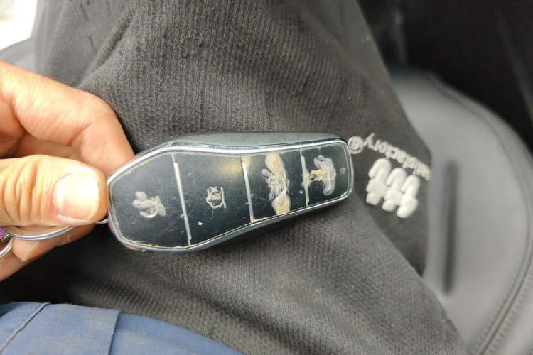 Used BYD Qin PLUS 2023 EV 510KM Travel Edition