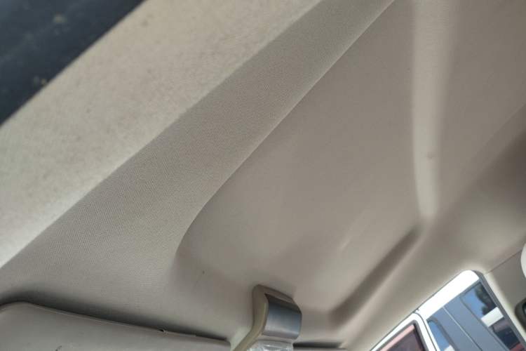 Used FORTHING Lingzhi 2018 M5L 2.0L 7-Seater Comfort Model
