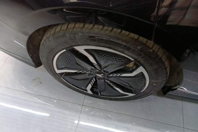 Used VOYAH PASSION 2023 Four-Wheel Drive Long-Range Version Exterior 5