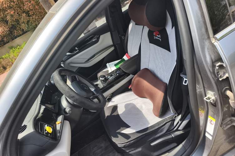 Used BYD Qin PLUS 2023 Champion Edition DM-i 55KM Leading Model
