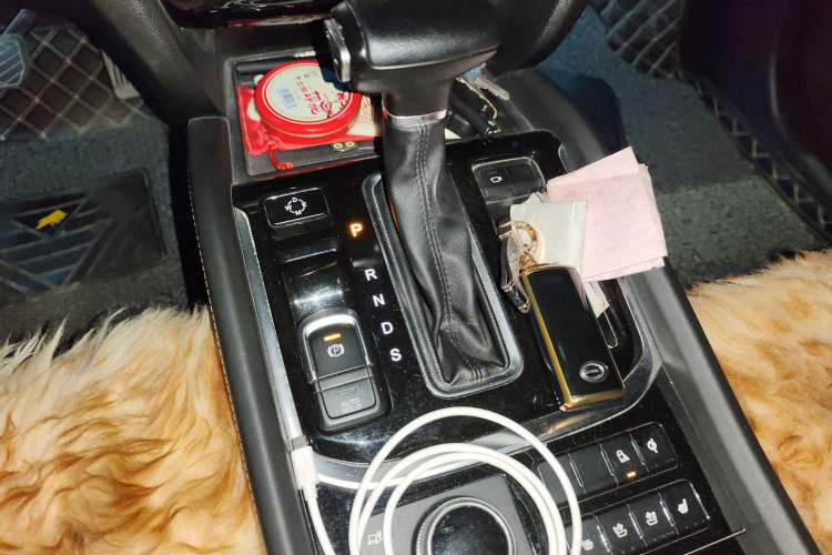 Used GAC Trumpchi GS8 2017 320T Four-Wheel Drive Luxury Smart Connectivity Version (7 Seats)
