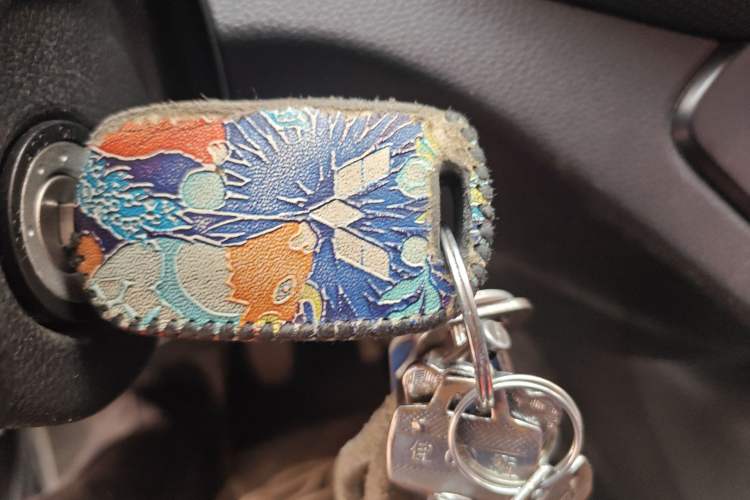 Used Wuling Hongguang 2019 1.5L S Basic Version China VI Standard LAR Vehicle Key