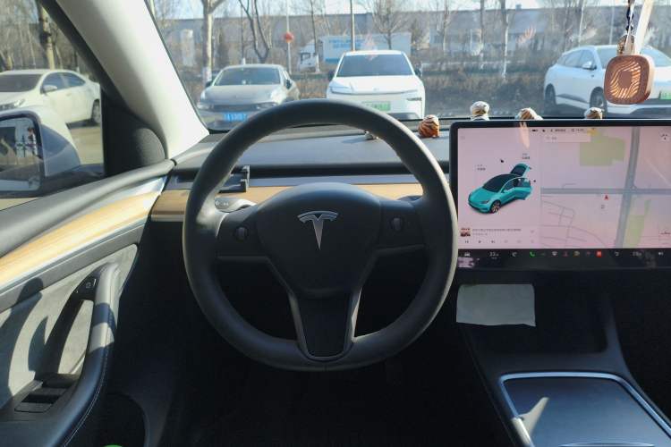 Used Tesla Model Y 2021 Standard Range Rear-Wheel Drive Version