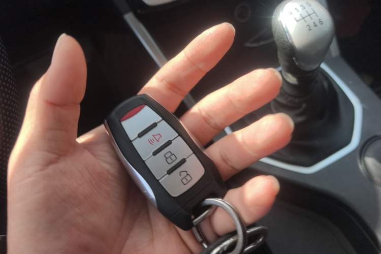 Used Great Wall Poer 2021 2.0T Commercial Version Manual Diesel Two-Wheel Drive Elite Long-Box GW4D20M
