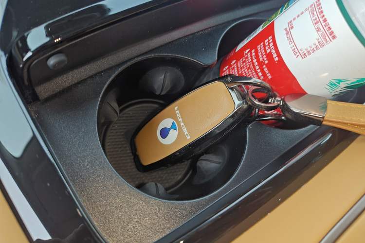 Used Denza D9 2022 DM-i 1040 Prestige Model