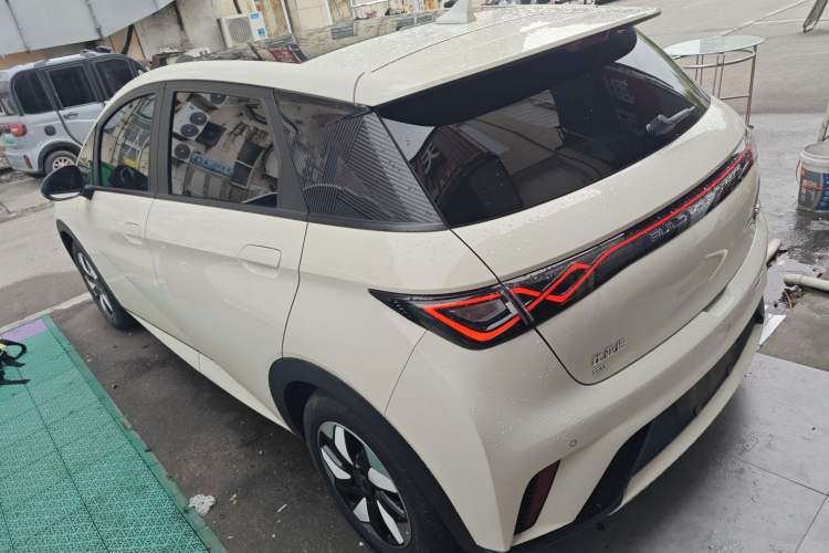 Used BYD Dolphin 2024 Honor Edition 420km Fashion Version Exterior 2