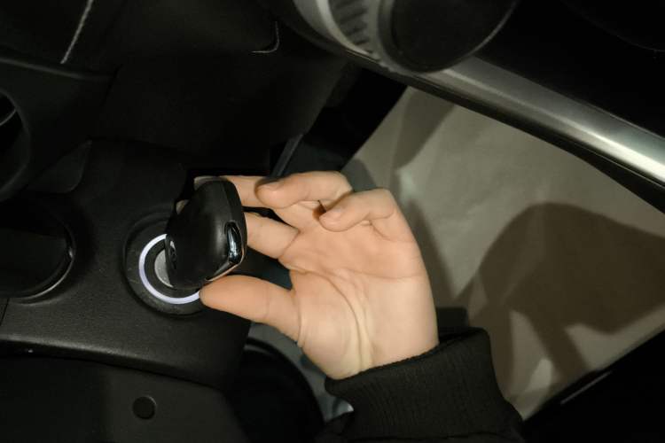 Used Toyota Wildlander 2024 2.0L CVT Two-Wheel Drive Leading Edition