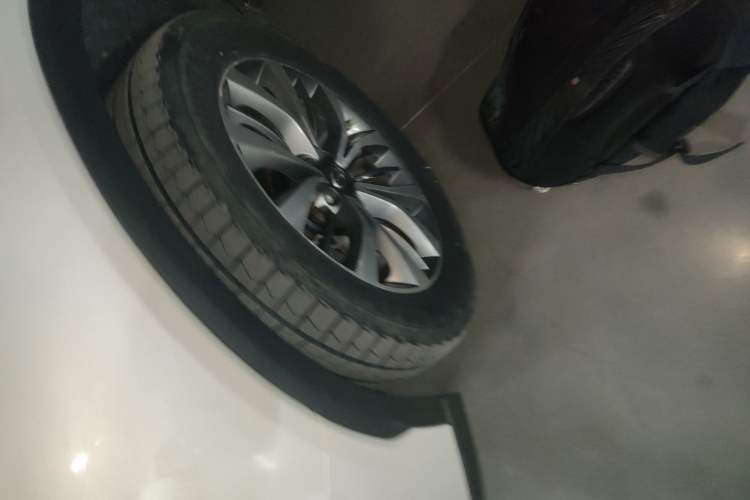 Used GAC Trumpchi GS8 2017 320T Two-Wheel Drive Luxury Smart Connectivity Version (7 Seats) Exterior 1