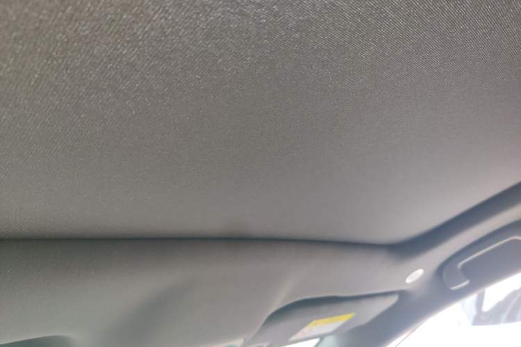 Used BYD Dolphin 2021 401km Knight Edition Headliner