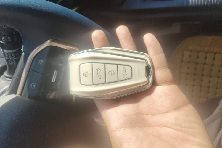 Used Livan Livan 9 2023 470 km Leading Edition