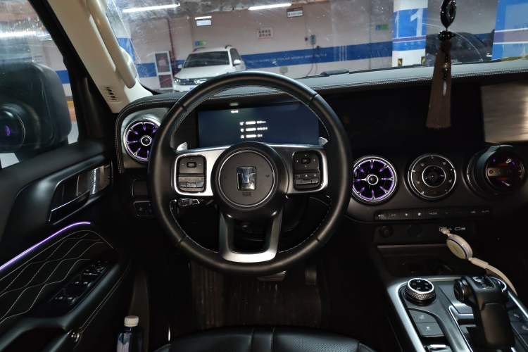 Used Tank 300 2024 2.0T Conqueror
