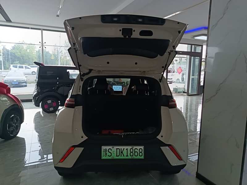 Used BYD Seagull 2025 305 km Free Version — 18