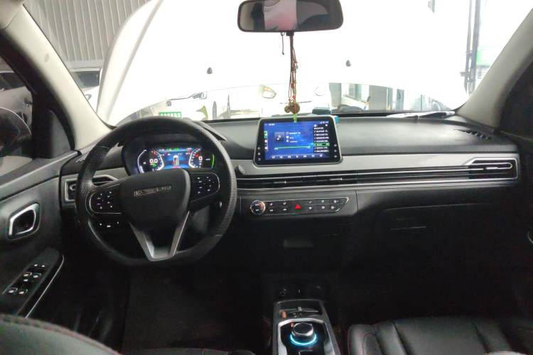 Used Dayun Yuehu 2021 Revised Version 32.85 kWh Two-Wheel Drive Sprite Edition