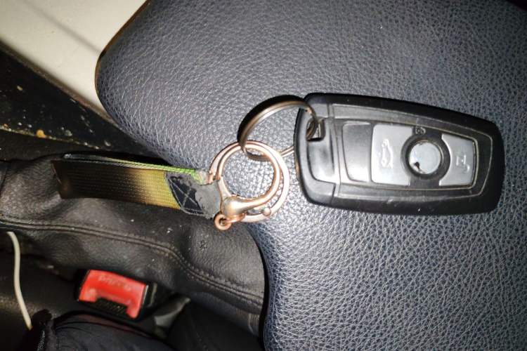 Used BMW 3 Series 2015 320Li Luxury Edition Fashion Model
