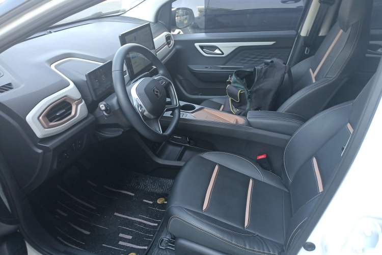 Used SOL E10X 2022 Flower Fairy Style Baby's Breath
