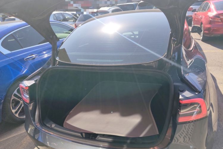 Used Tesla Model 3 2021 Performance High-Performance All-Wheel-Drive Version