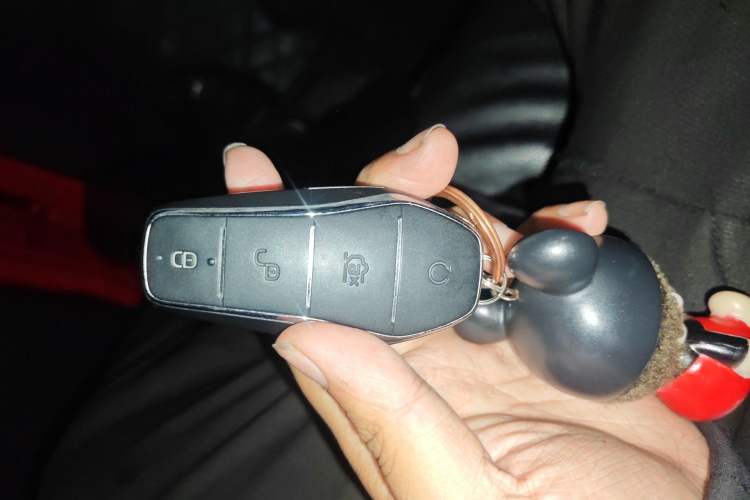 Used BYD e2 2021 Comfort Model Vehicle Key