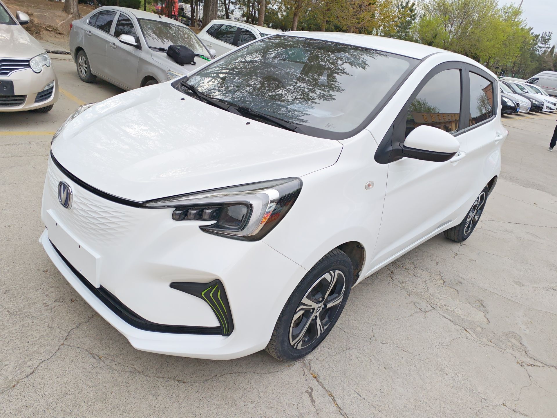 Parte inferior delantera