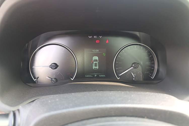 Used Wey VV5 2020 1.5T Two-Wheel Drive Color Pioneer
