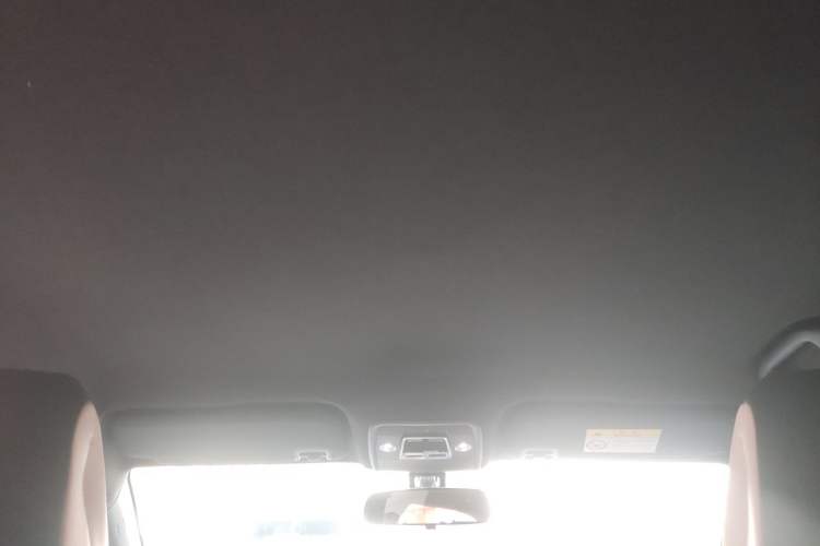 Used BYD Seagull 2023 Free Edition Headliner