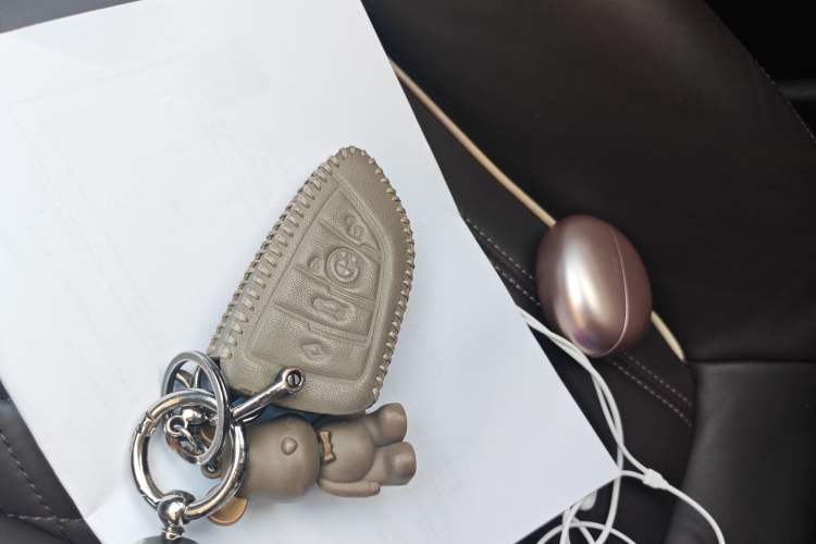 Used BMW 5 Series New Energy 2019 530Le Luxury Package Vehicle Key