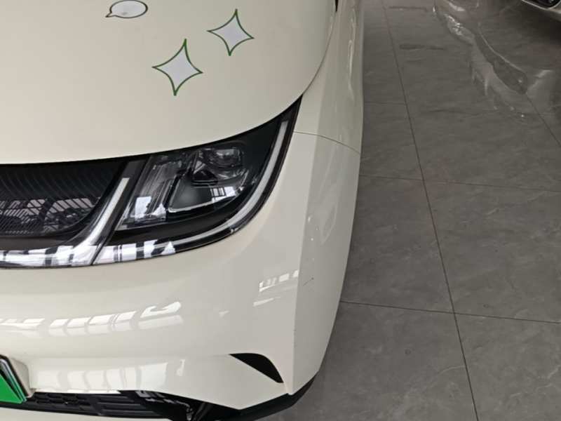 Used BYD Dolphin 2023 420 km Free Version — 23