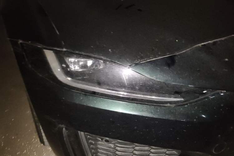 Used Jaguar XEL 2021 2.0T 250 PS R-DYNAMIC S Advanced Sport Edition
