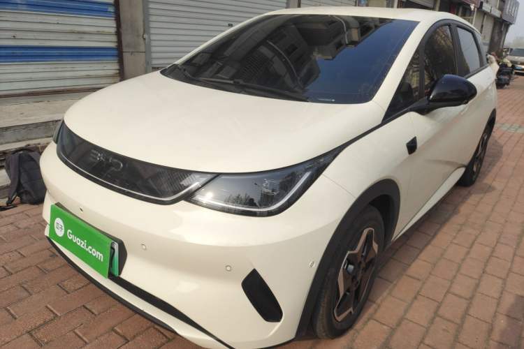 Used BYD Dolphin 2025 Smart Drive Version 420 km Freedom Edition