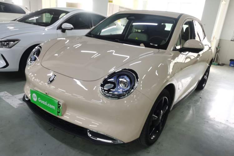 Used ORA Good Cat 2024 401 km Luxury Version