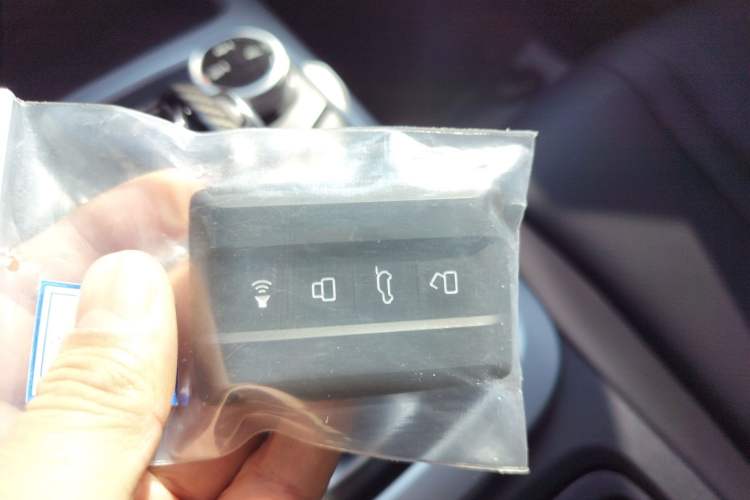 Used Tank 300 2024 2.0T Conqueror