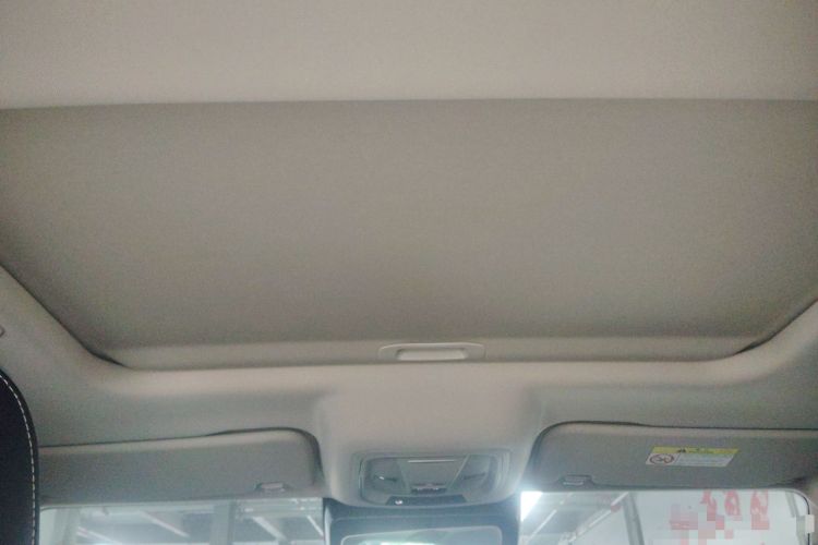 Used Tank 300 2024 2.0T Crosser