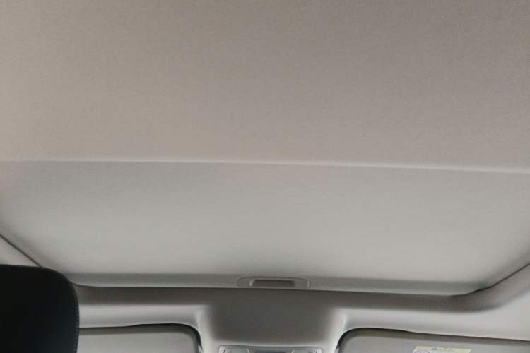 Used Tank 300 2021 Off-Road Edition 2.0T Conqueror Headliner