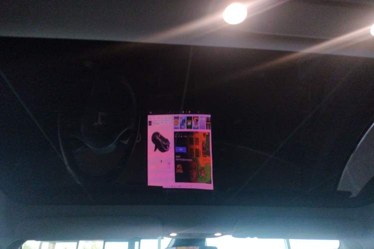 Used Tesla Model 3 2019 Standard Range Rear-Drive Upgraded Version Headliner