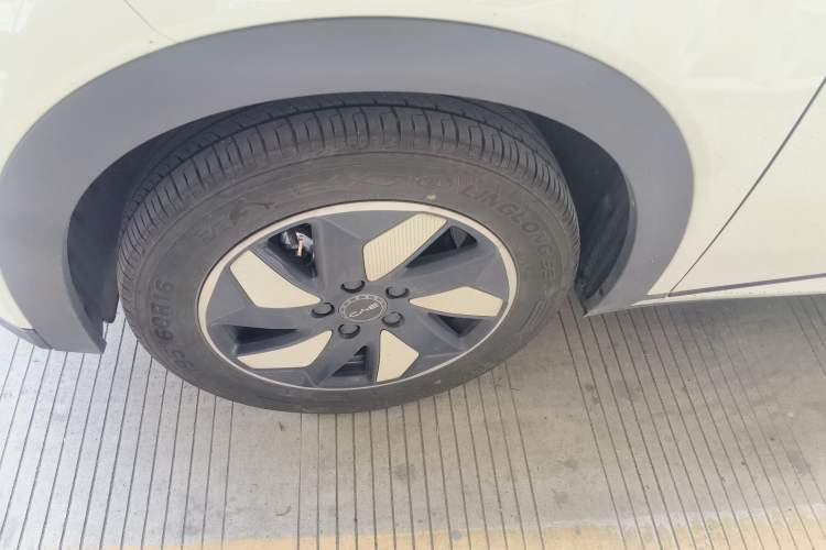 Used BYD Dolphin 2025 420km Free Edition Left Front Wheel Hub