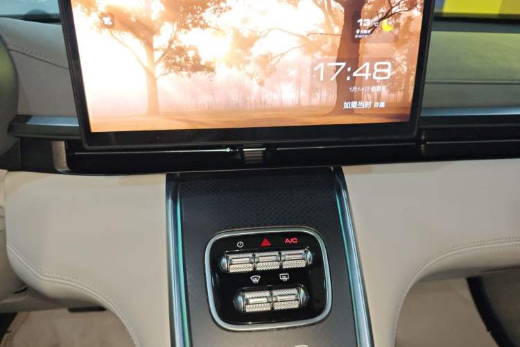 Used ORA Lightning Cat 2022 555 km Luxury Edition
