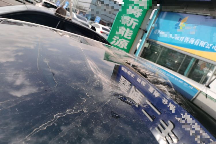 Used Volkswagen Polo 2021 Plus 1.5L Automatic Colorful Tech Edition
