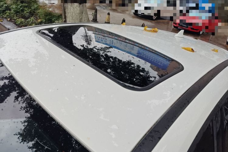 Used Ford Focus 2018 Hatchback Classic 1.6L Automatic Trendy SmartDrive Edition
