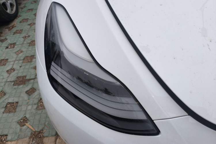 Used Tesla Model Y 2022 Rear-Wheel-Drive Version
