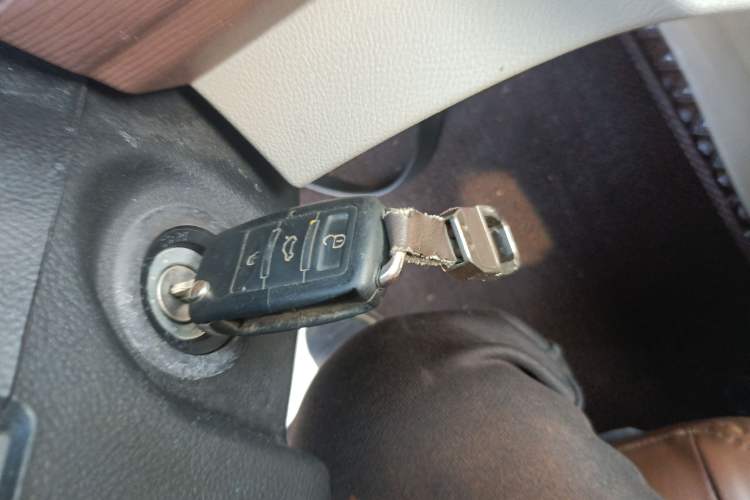 Used FORTHING Lingzhi 2021 M5L 2.0L Utility Model