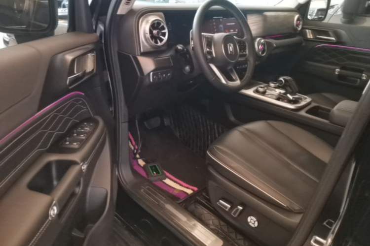 Used Tank 300 2024 2.0T Conqueror