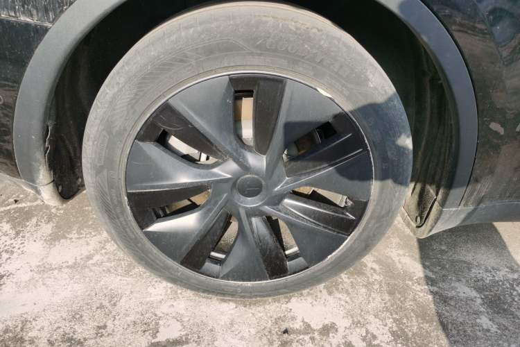 Used Tesla Model Y 2023 Rear-Wheel-Drive Version Exterior 5