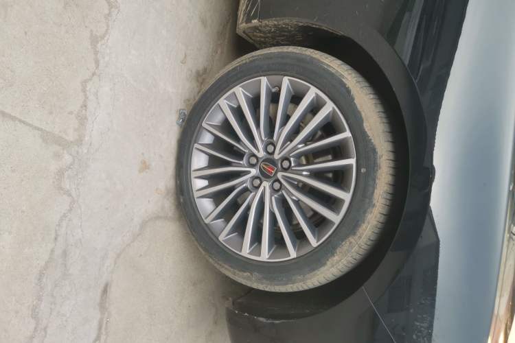 Used Hongqi H9 2020 2.0T Smart Connect Flagship Edition
